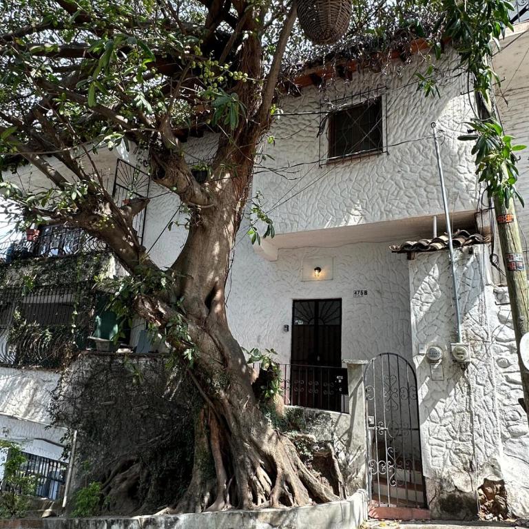 Newly Renovated Studio B2 with Patio Sleeps 2 - Studio Apartment with One Double Bed - 11