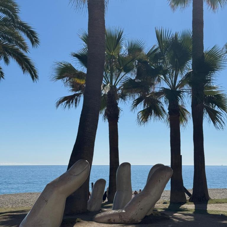 Penthouse met groot terras centrum FUENGIROLA - Apartamento de 1 dormitorio - 53
