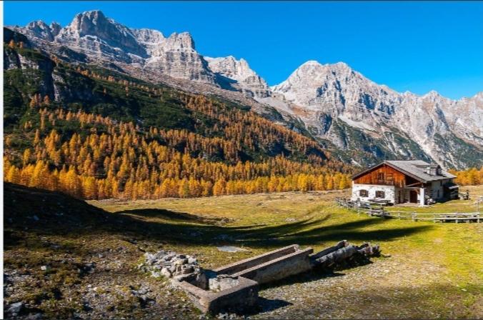 Apartment with terrace - Monte Ponente - Apartment mit 1 Schlafzimmer - 15