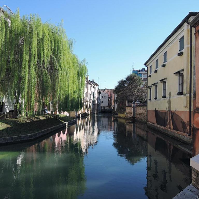 Nido in centro - no ztl - zona Università, piano 1 con ascensore, clima e wi-fi - Keki - One-Bedroom Apartment - 15