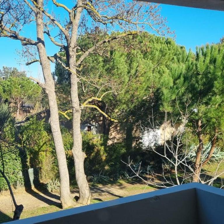 studio cosy classé 2 etoiles narbonne - One-Bedroom Apartment - 3