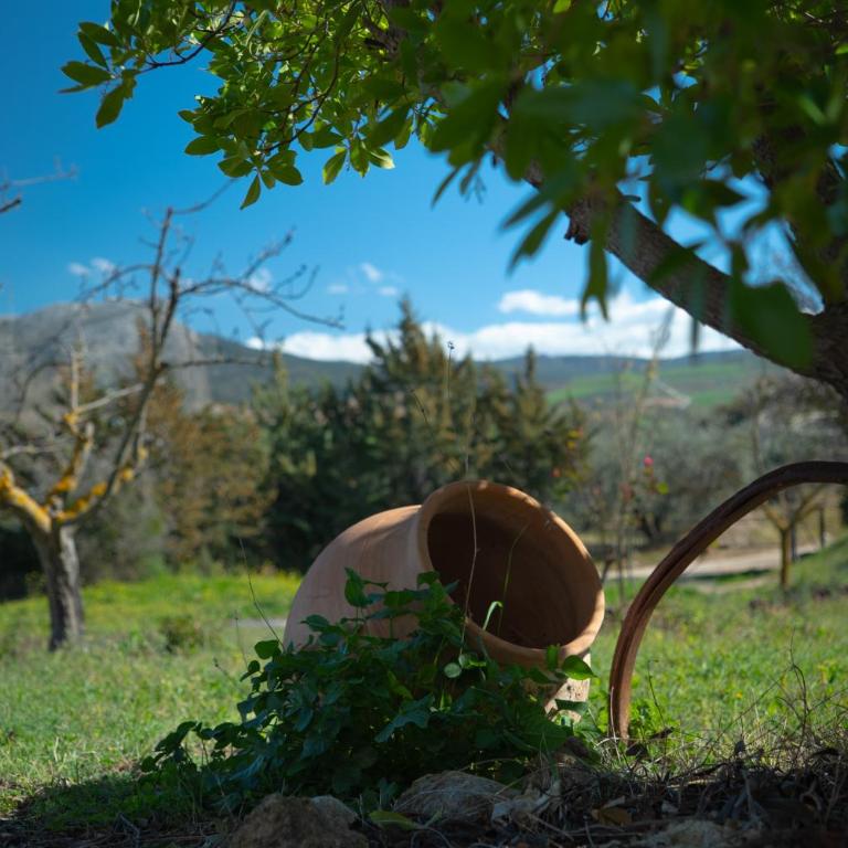 Casa rural de encanto en plena Serranía de Ronda - Casa de 3 dormitorios - 28