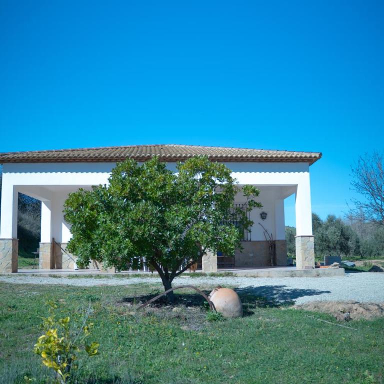 Casa rural de encanto en plena Serranía de Ronda - Casa de 3 dormitorios - 29