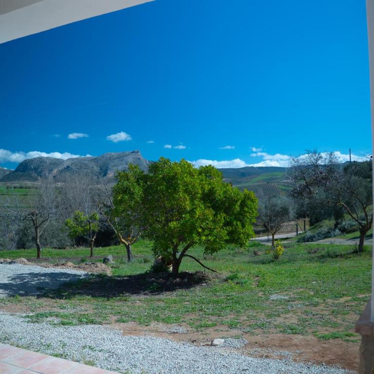 Casa rural de encanto en plena Serranía de Ronda - Casa de 3 dormitorios - 30