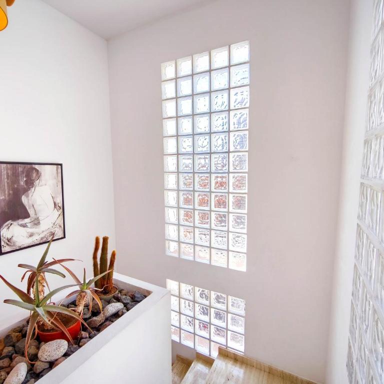 Pinzon, gezellige familievilla met groot zwembad. - Villa con piscina privada - 34