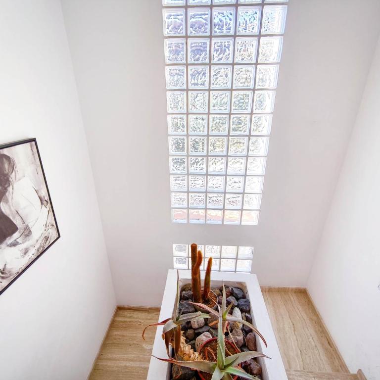 Pinzon, gezellige familievilla met groot zwembad. - Villa con piscina privada - 35