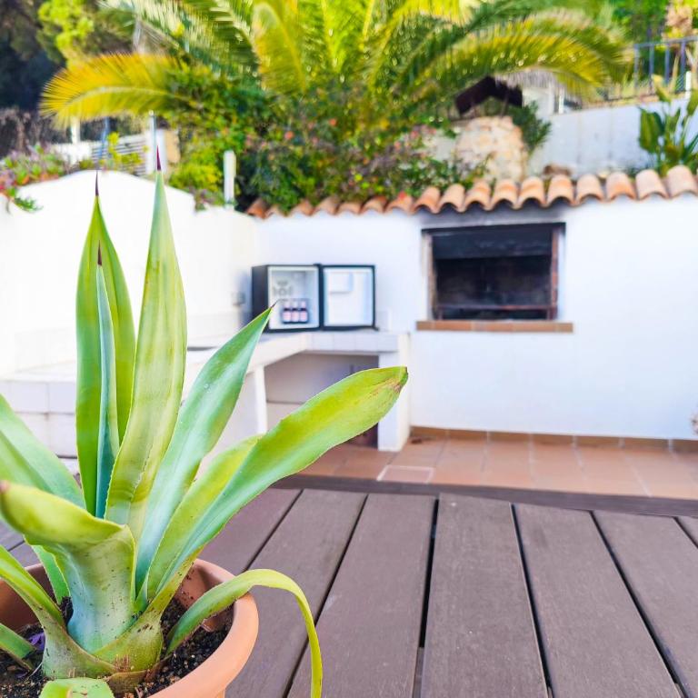 Pinzon, gezellige familievilla met groot zwembad. - Villa con piscina privada - 69