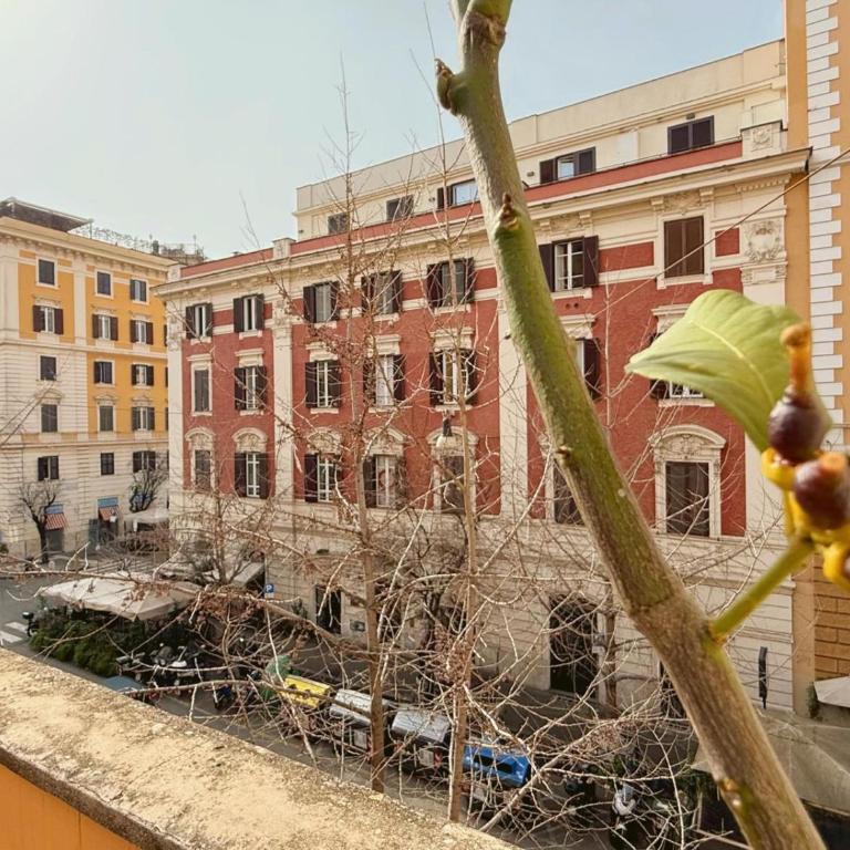 Fabio Massimo Guest House - Junior Suite con Terrazza - 6