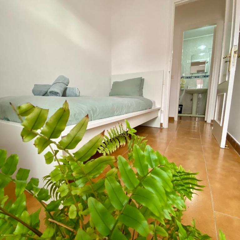 Teresa Home - Apartamento - 2