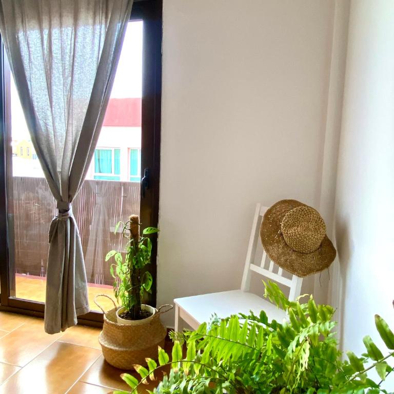 Teresa Home - Apartamento - 36