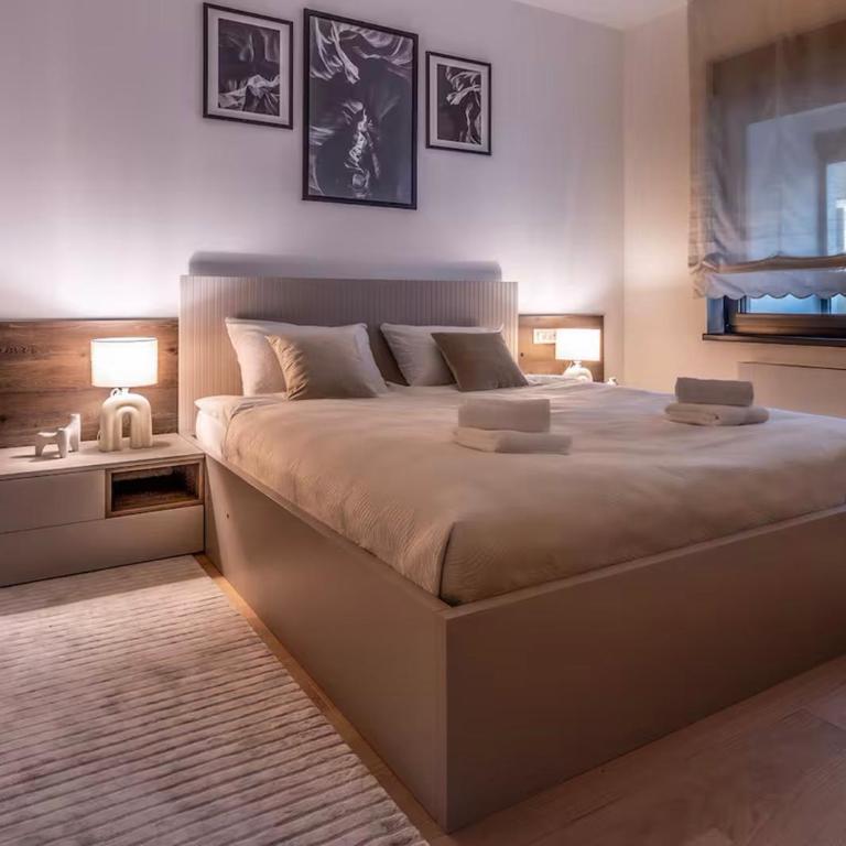 Prestige Luxury Suite - Prime Central Location - Private Garage Parking - Premium Apartman sa 1 Spavaćom Sobom - 21