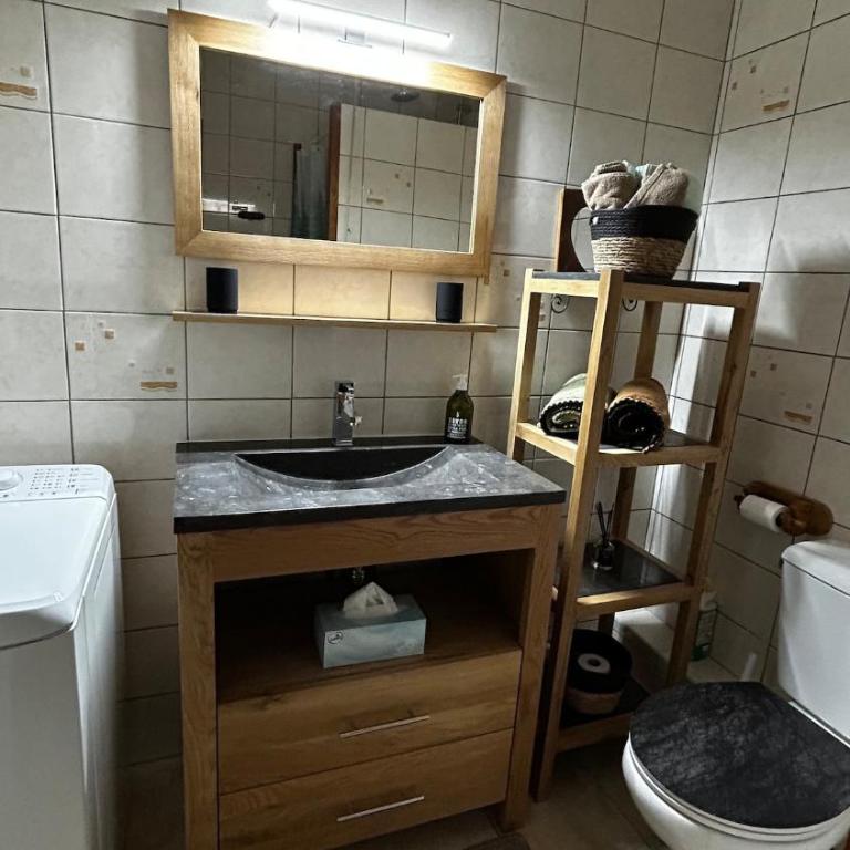 Vue montagnes, à 5 mn du lac et de la piste cyclable,lit King size, Park gratuit - Appartement 1 Chambre - 24