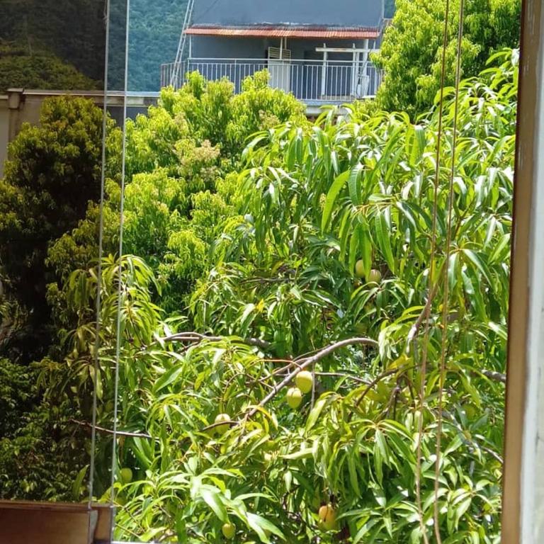Executive type apartment of 35 meters Sebucan Ccs - One-Bedroom Apartment - 6
