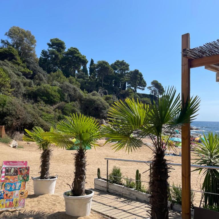 Pinzon, gezellige familievilla met groot zwembad. - Villa con piscina privada - 78