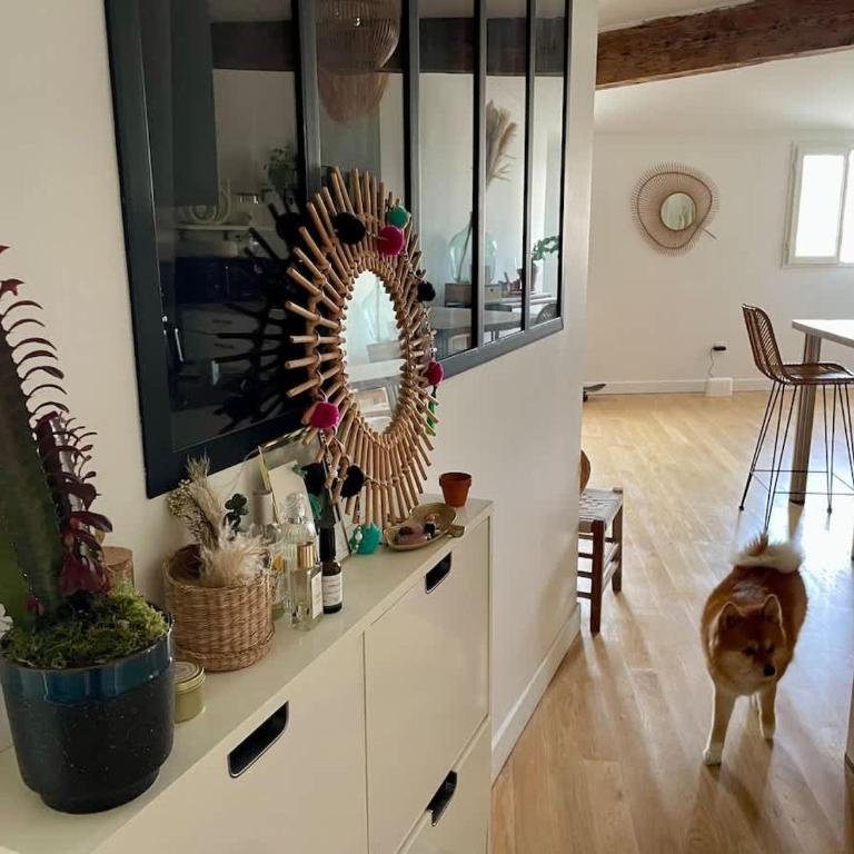 Rooftop dans l’hyper centre - Appartement 1 Chambre - 14