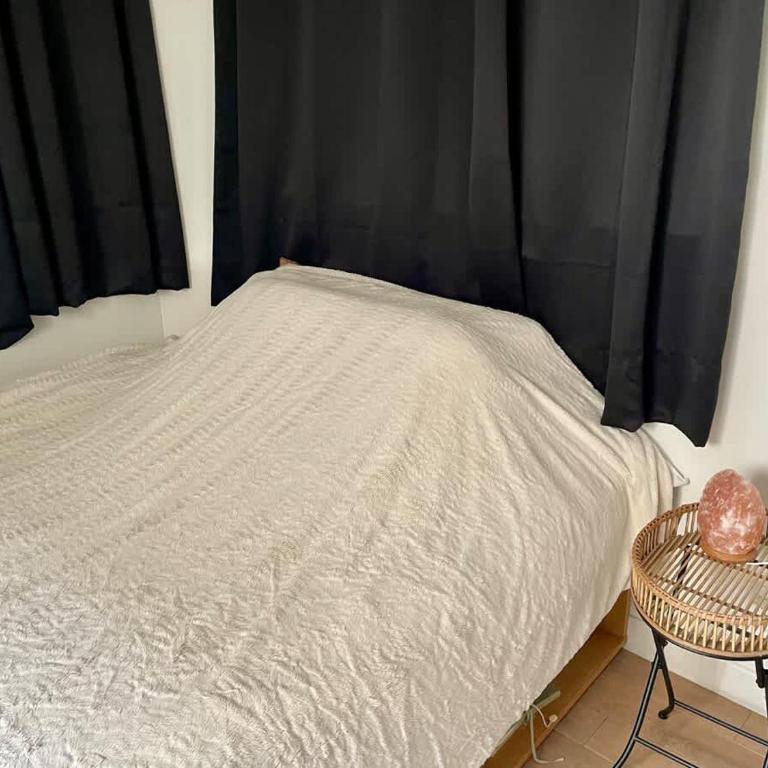 Rooftop dans l’hyper centre - Appartement 1 Chambre - 15