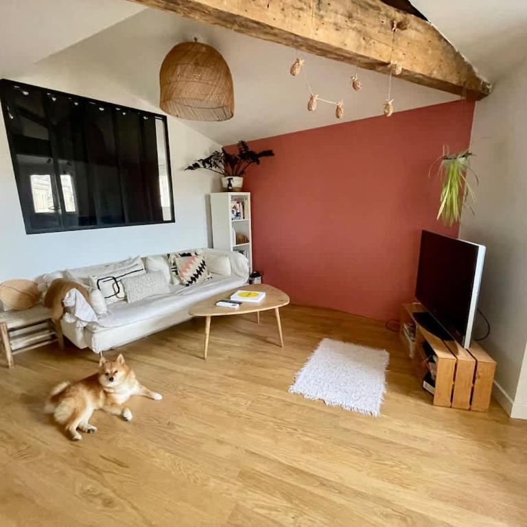 Rooftop dans l’hyper centre - Appartement 1 Chambre - 19
