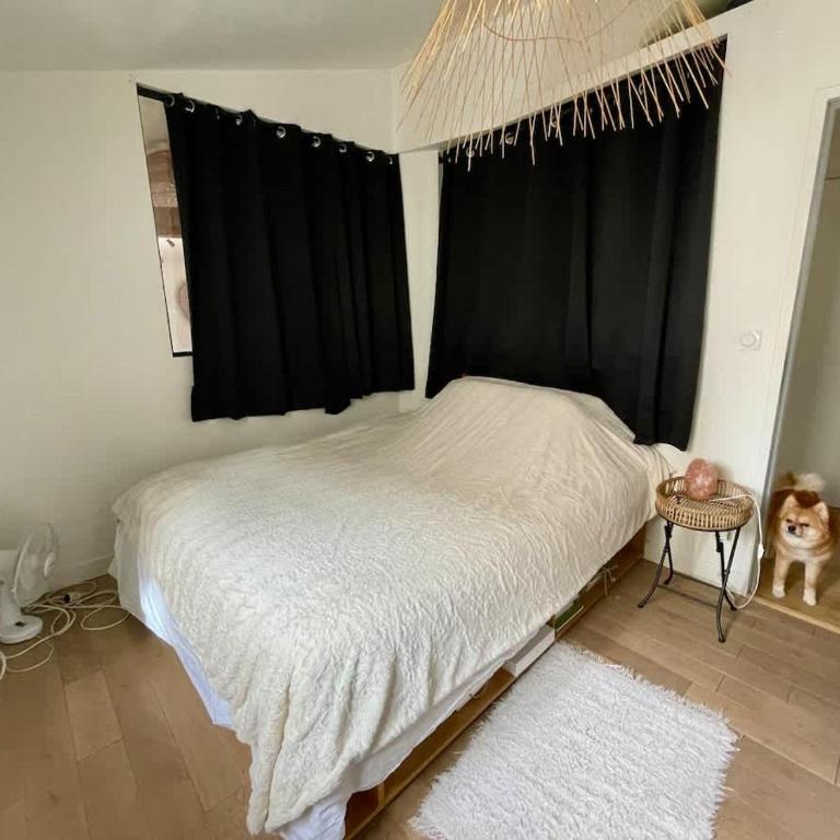 Rooftop dans l’hyper centre - Appartement 1 Chambre - 27