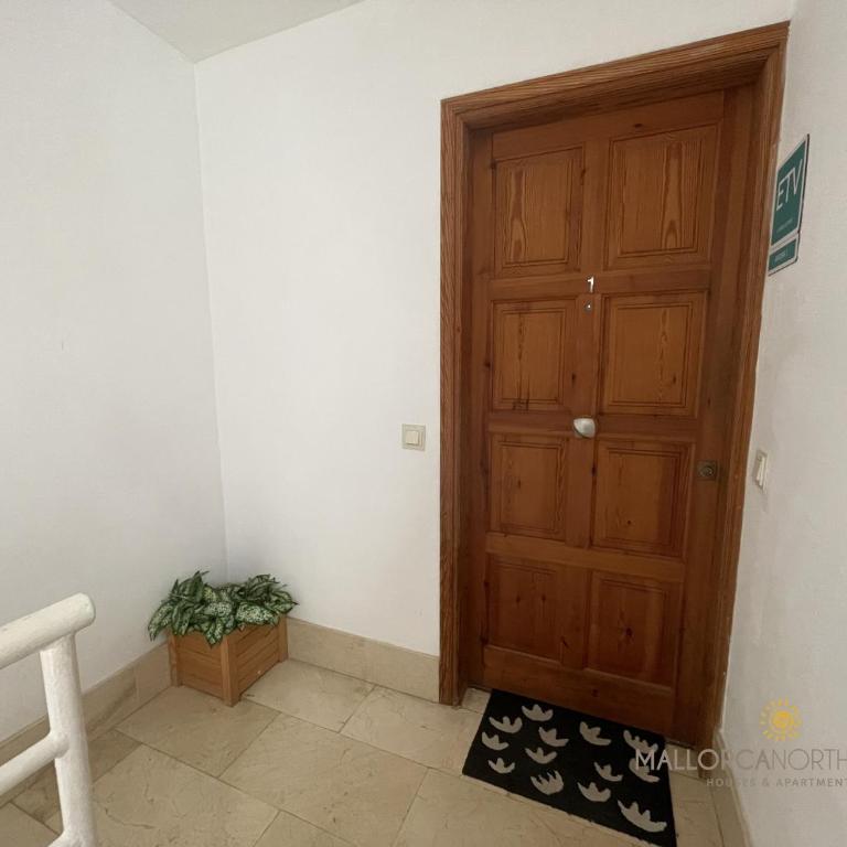 Apartamento Aurora 1 - Apartamento - 15