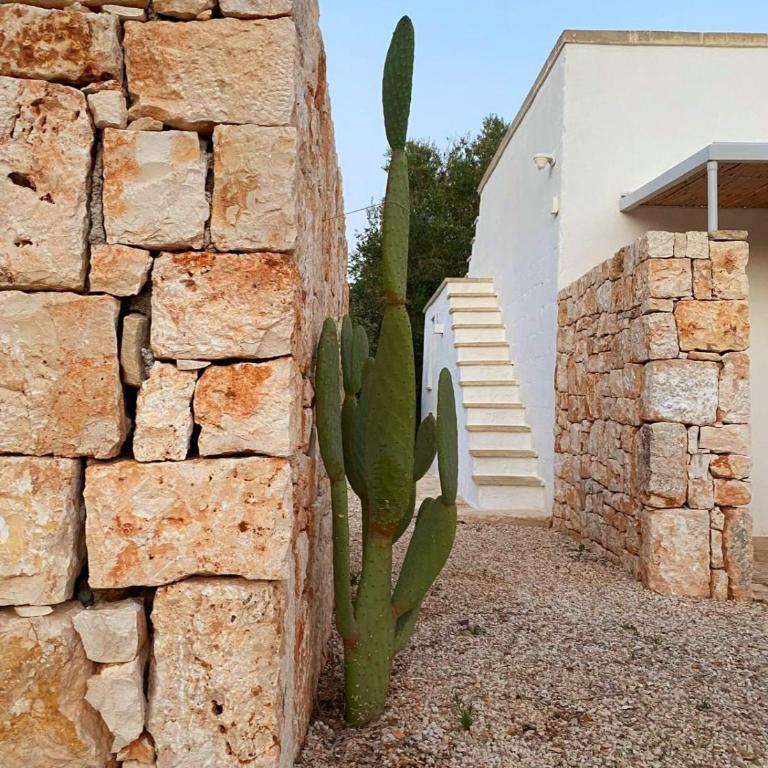 Villa Quaranta - Villa con Piscina Privata - 20