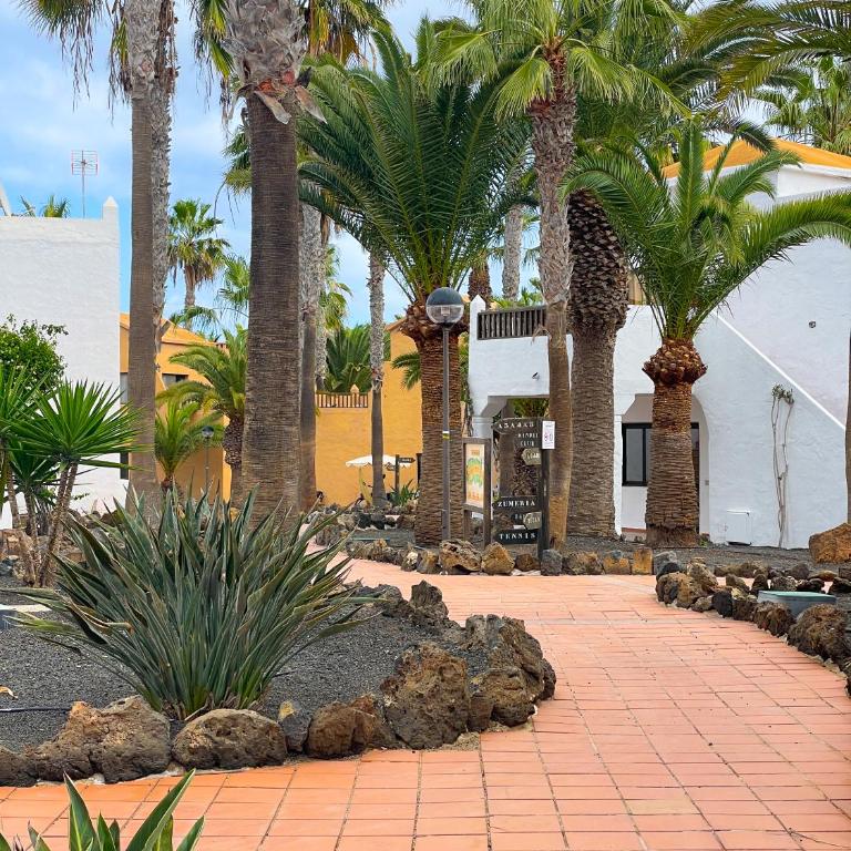 Stefan's Place by Best Holidays Fuerteventura - Apartamento de 1 dormitorio - 69