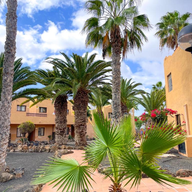 Stefan's Place by Best Holidays Fuerteventura - Apartamento de 1 dormitorio - 71