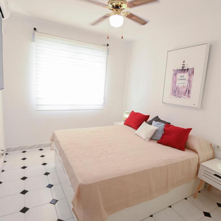Edificio Apolo 5 - Apartamento - 12