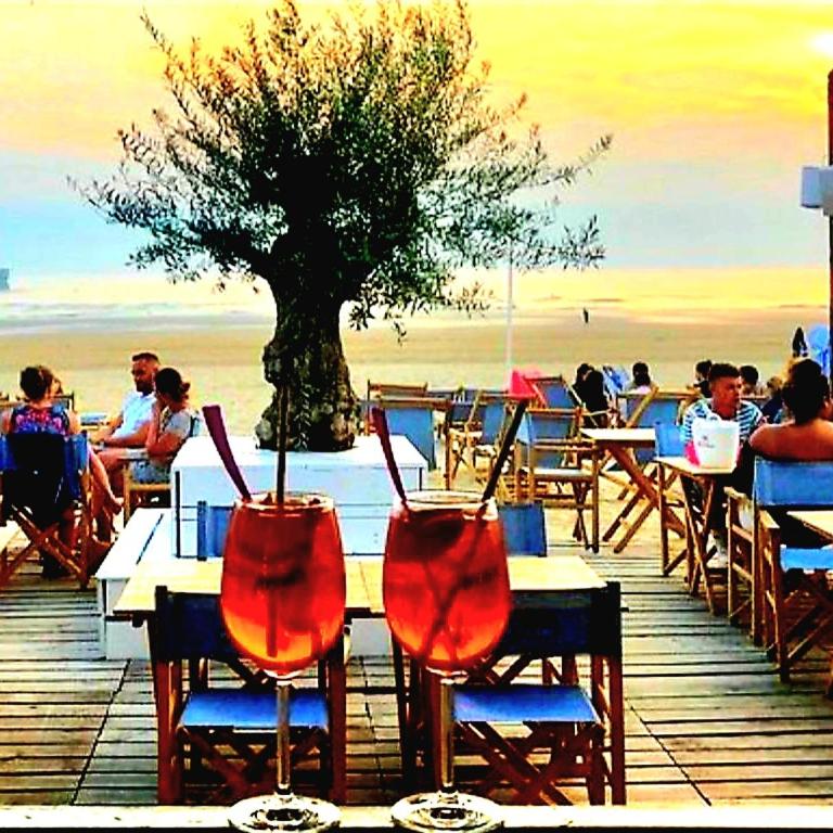 Studio Cap sur Mer - Appartement 1 Chambre - 8