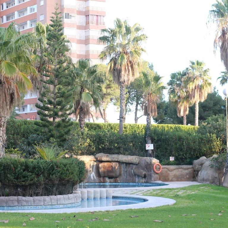 BENIDORM PRIMERISIMA LINEA De PLAYA - Apartamento de 2 dormitorios - 79