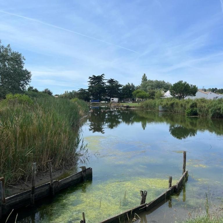 Villa de charme SPA - Piscine - Etang - Villa - 22