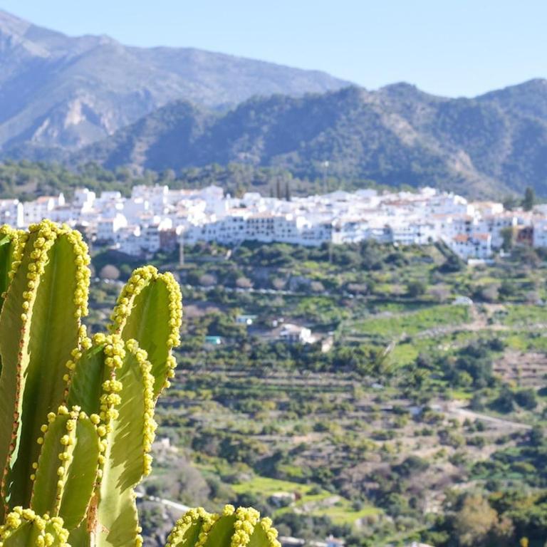 Villa Las Piedras, Frigiliana Luxury Country villa with pool and parking HansOnHoliday Rentals - Villa de 3 dormitorios - 12
