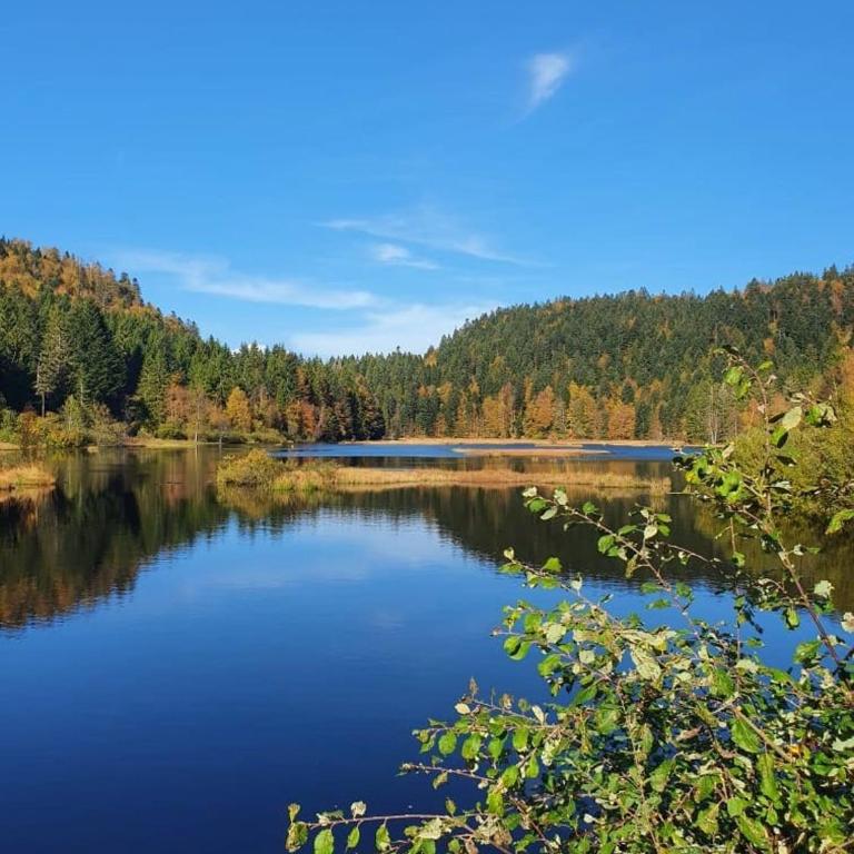 Pré Ferry - gîte au coeur de la nature - Chalet 2 Chambres - 22