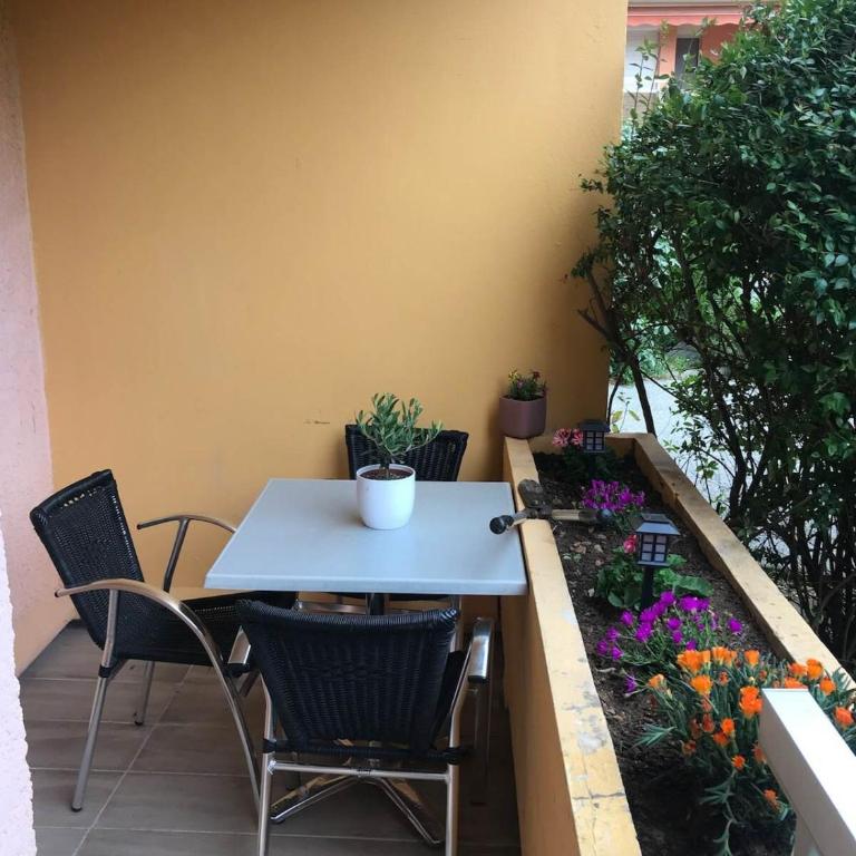 La Faviere T2 4pers RDC avec Terrasse - Appartement 1 Chambre - 1