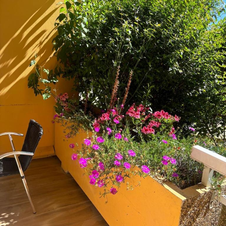 La Faviere T2 4pers RDC avec Terrasse - Appartement 1 Chambre - 23