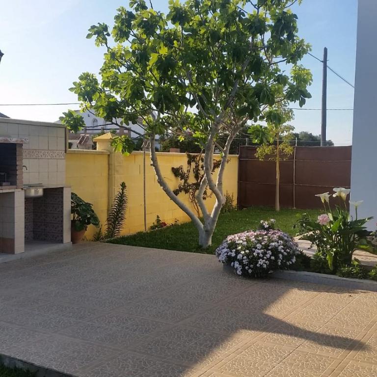 LOFT Ajardinado en Roche CONIL - Casa con 1 dormitorio - 2