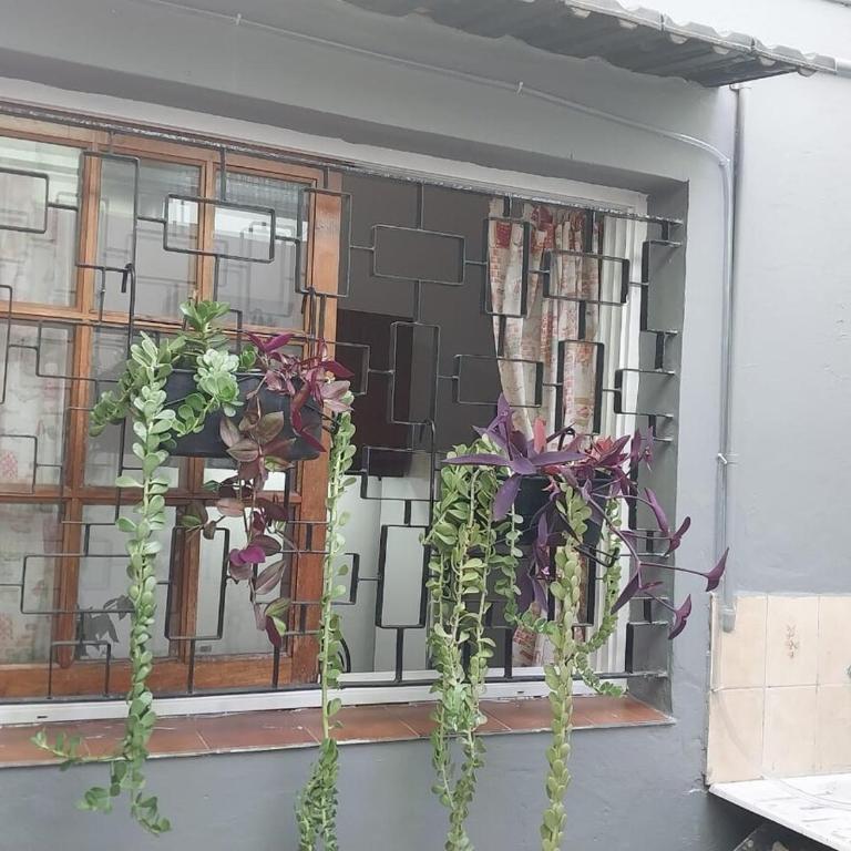 Cafferata parque Chacabuco - Apartamento de 1 dormitorio - 20