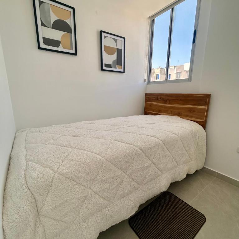 Apto de lujo para estrenar - Apartamento de 3 dormitorios - 7