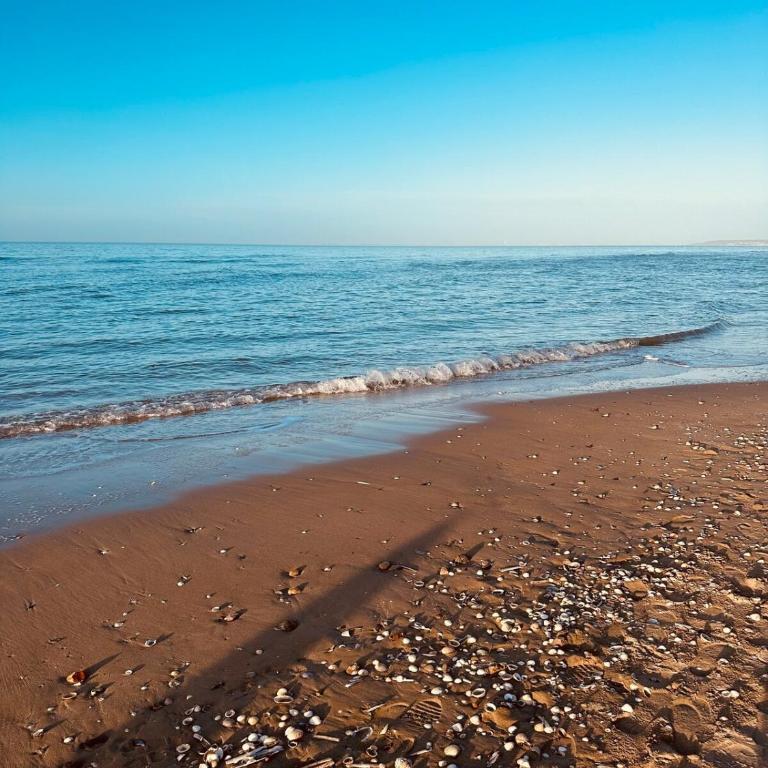 joli T2 situé dans le coeur de Cabourg - One-Bedroom Apartment - 10