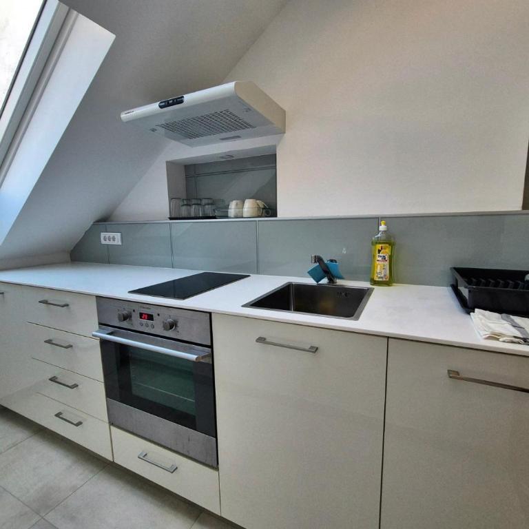 Roof - Apartman sa 1 Spavaćom Sobom - 11