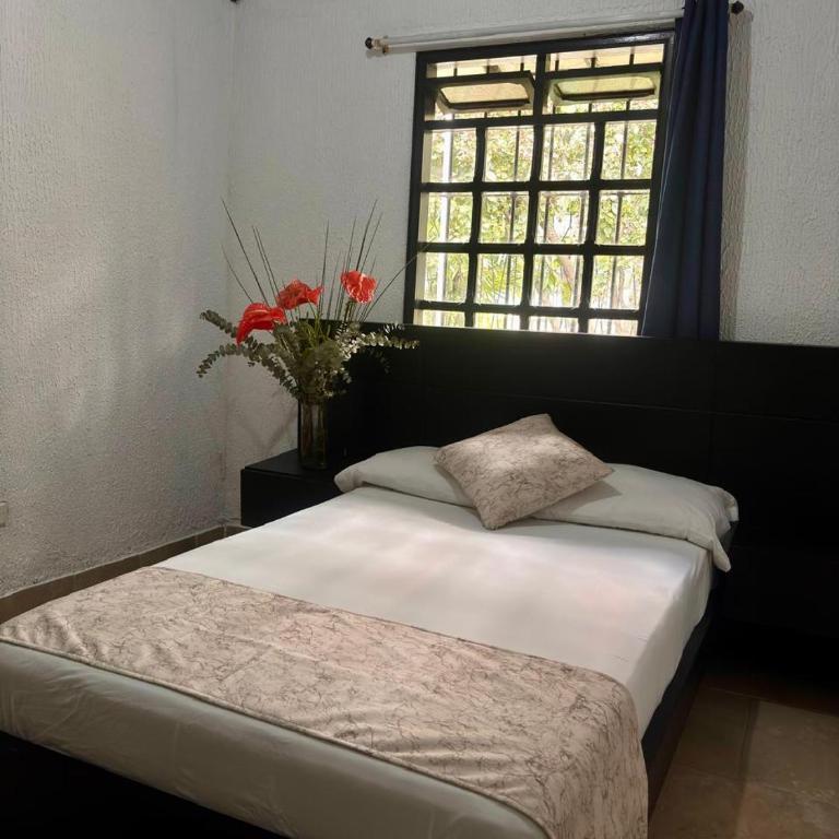 Hotel Premium Real - Habitación Individual Económica - 12