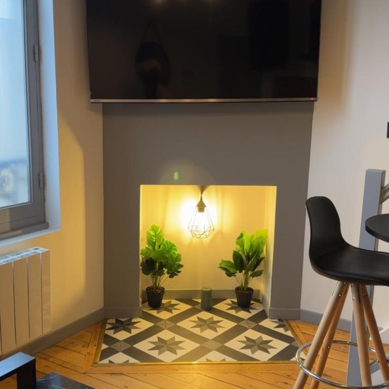 Le Gris métal, T2 duplex, centre ville historique - Appartement 1 Chambre - 1