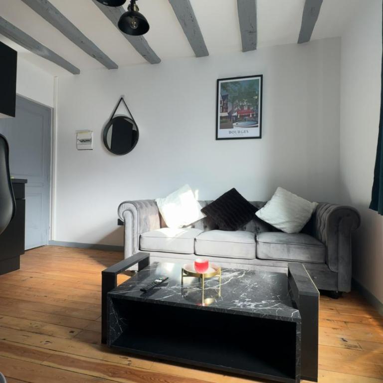 Le Gris métal, T2 duplex, centre ville historique - Appartement 1 Chambre - 3
