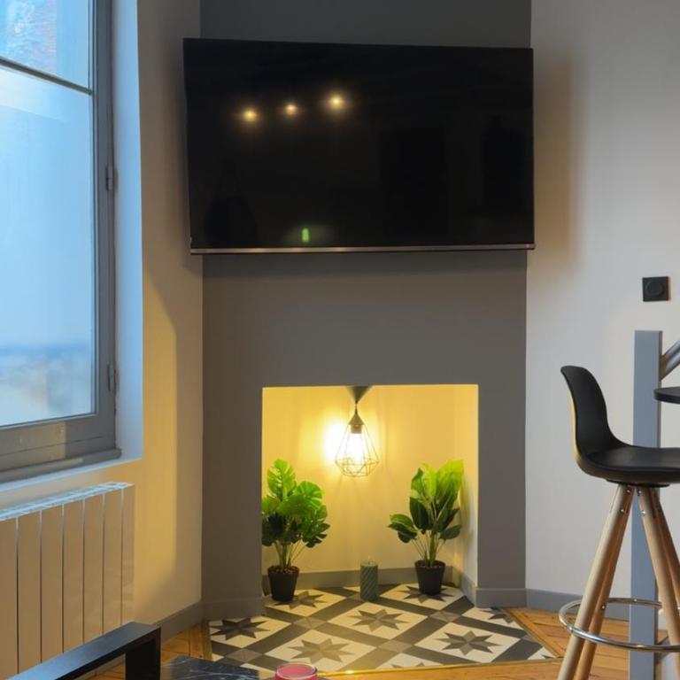 Le Gris métal, T2 duplex, centre ville historique - Appartement 1 Chambre - 23