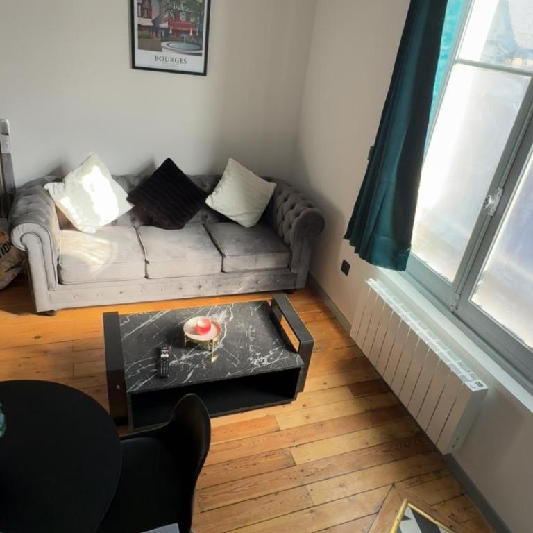 Le Gris métal, T2 duplex, centre ville historique - Appartement 1 Chambre - 29