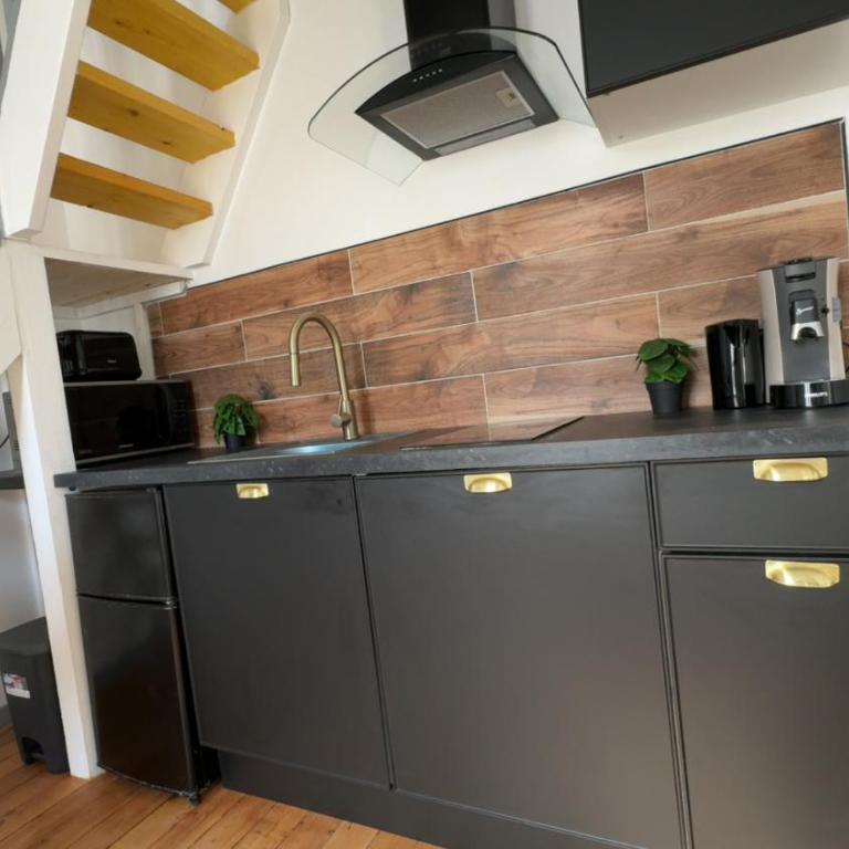 Le Gris métal, T2 duplex, centre ville historique - Appartement 1 Chambre - 26