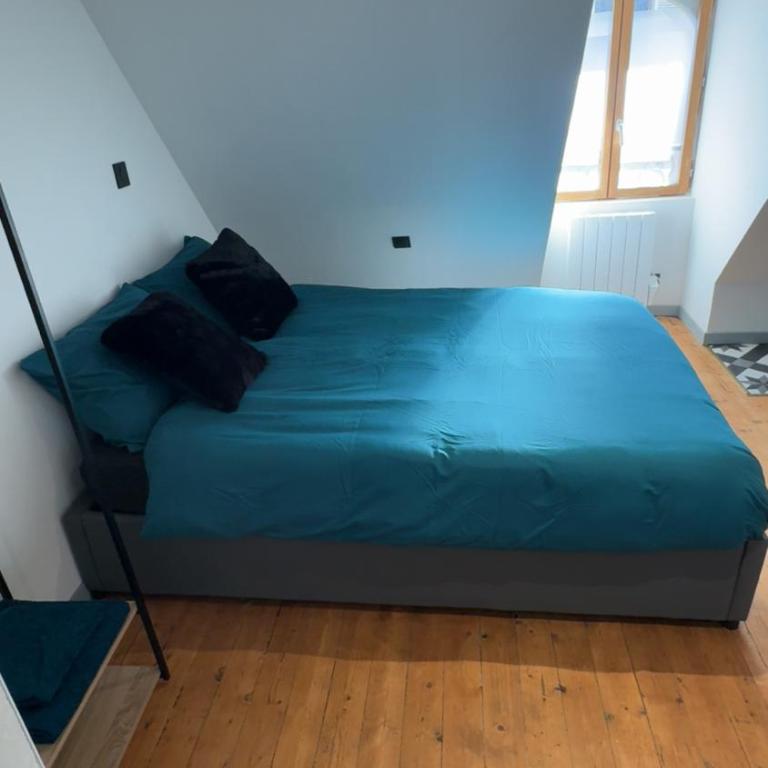 Le Gris métal, T2 duplex, centre ville historique - Appartement 1 Chambre - 48