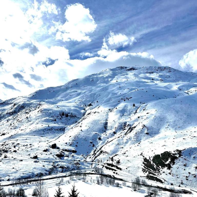 Chalet apartment with ski and spa at foot for 4 people - Appartement 1 Chambre - 29
