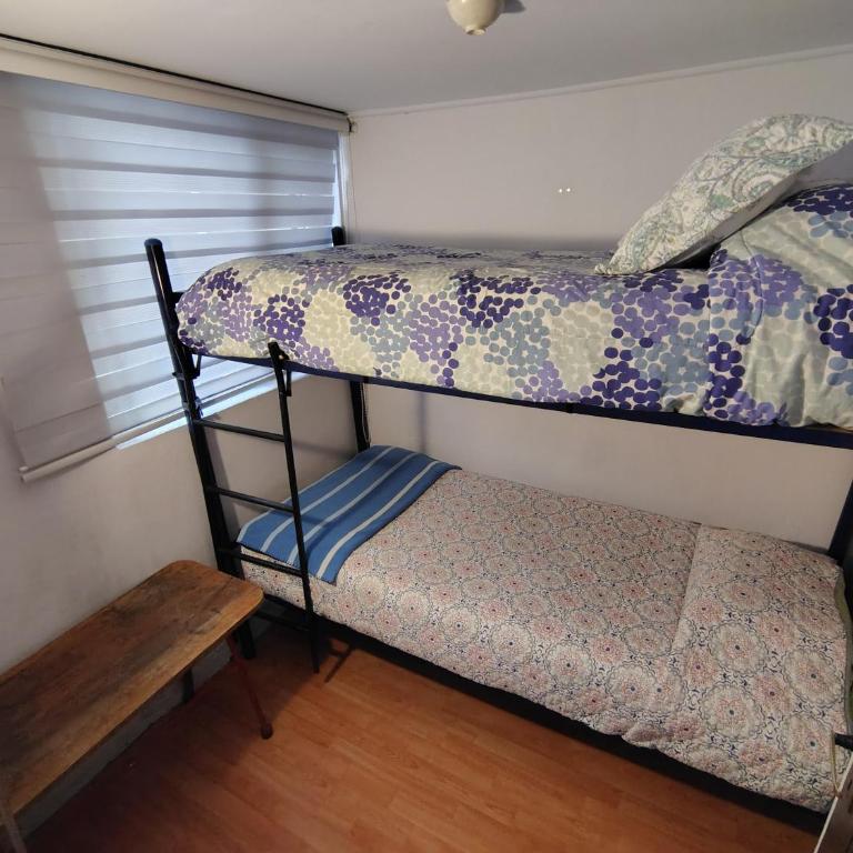 Cabaña en Temuco, excelente ubicación - One-Bedroom Apartment with Garden - 2