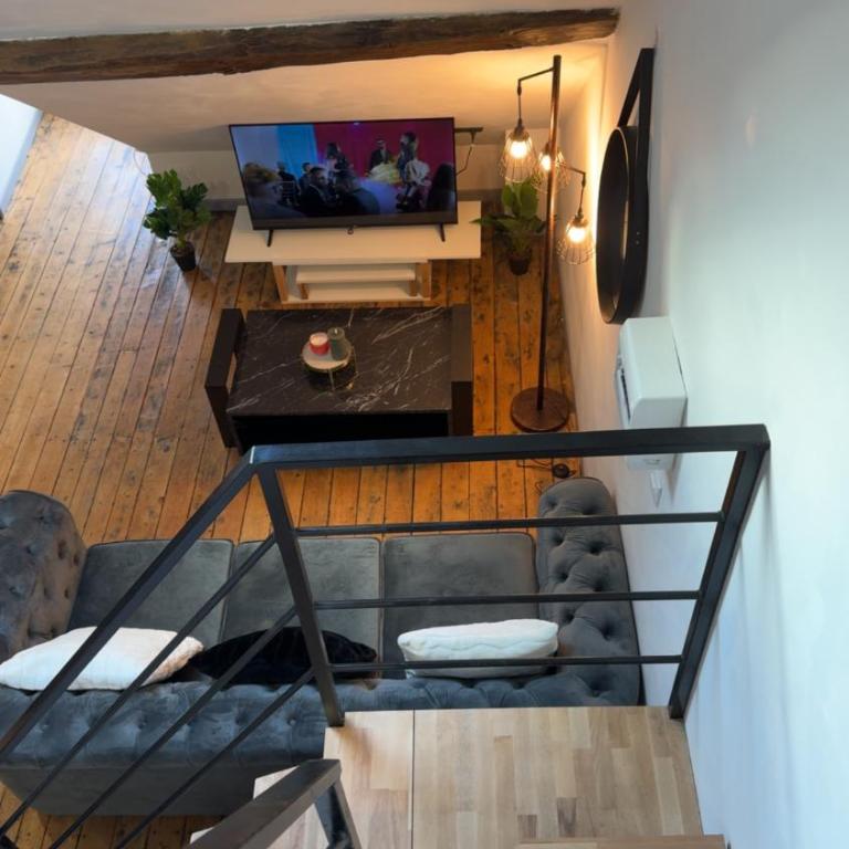 Le Loft, T2 duplex centre ville historique - Appartement 1 Chambre - 13
