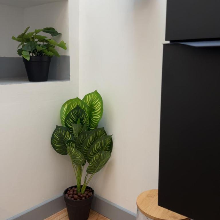Le Loft, T2 duplex centre ville historique - Appartement 1 Chambre - 17